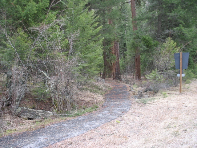 picture showing Most of the trail has minimal slopes as it meanders through old growth forest down to the stream.